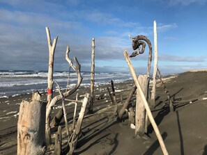 A beach with driftwood and a view of the ocean.