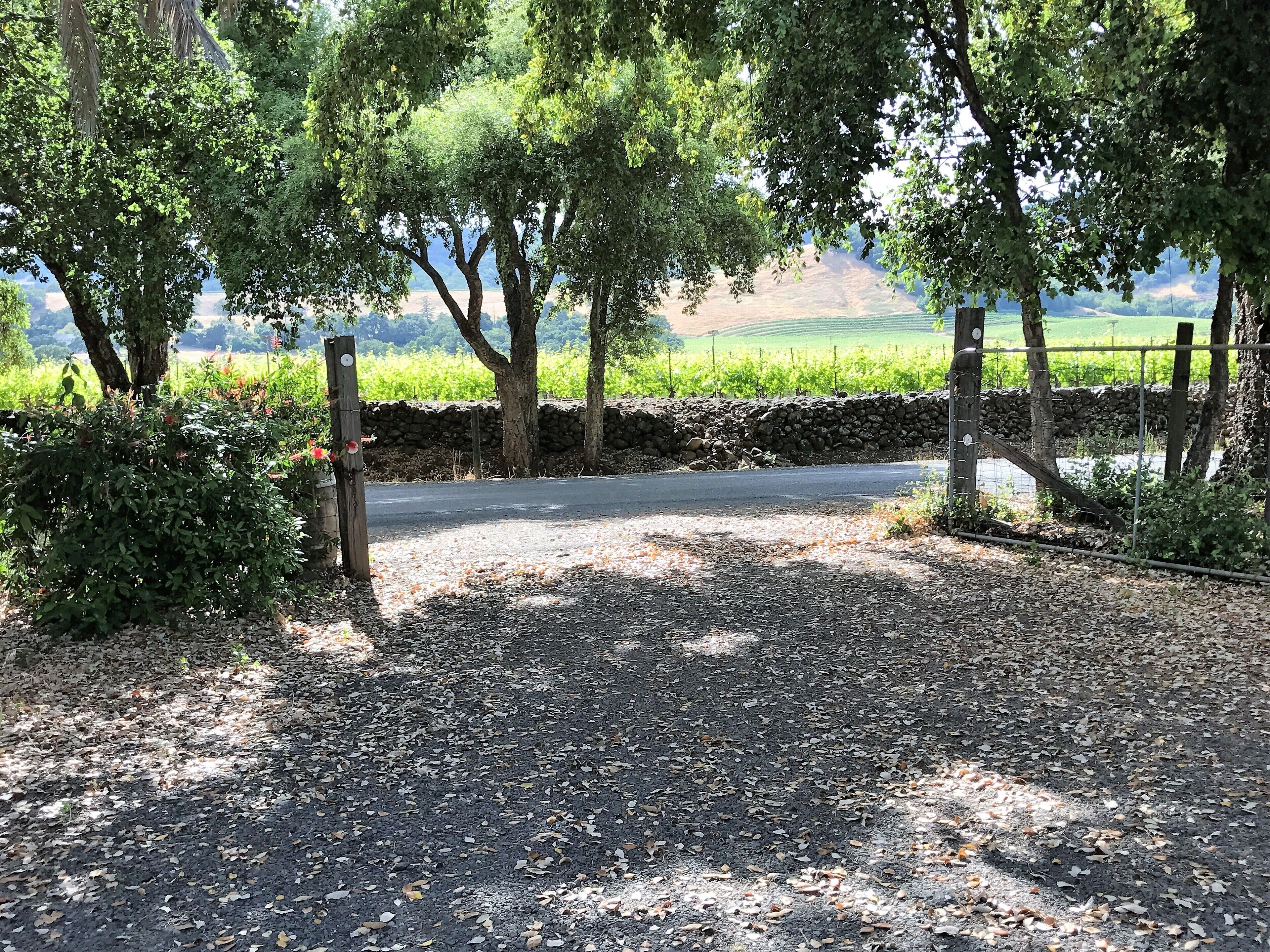 Secluded Cottage, With Vineyard View, Sleeps Six, Great Location!