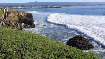 Playa en los alrededores