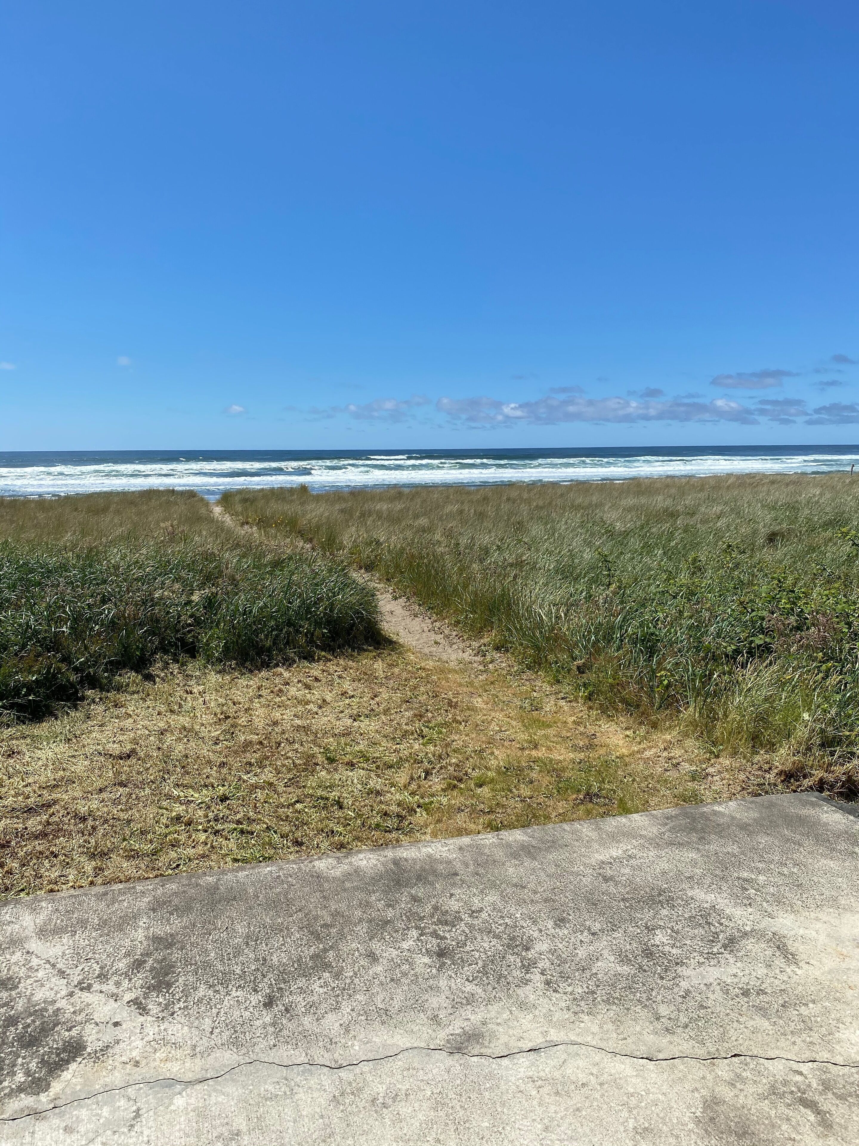 Un camí de formigó que condueix a una zona verda amb vista a l'oceà.