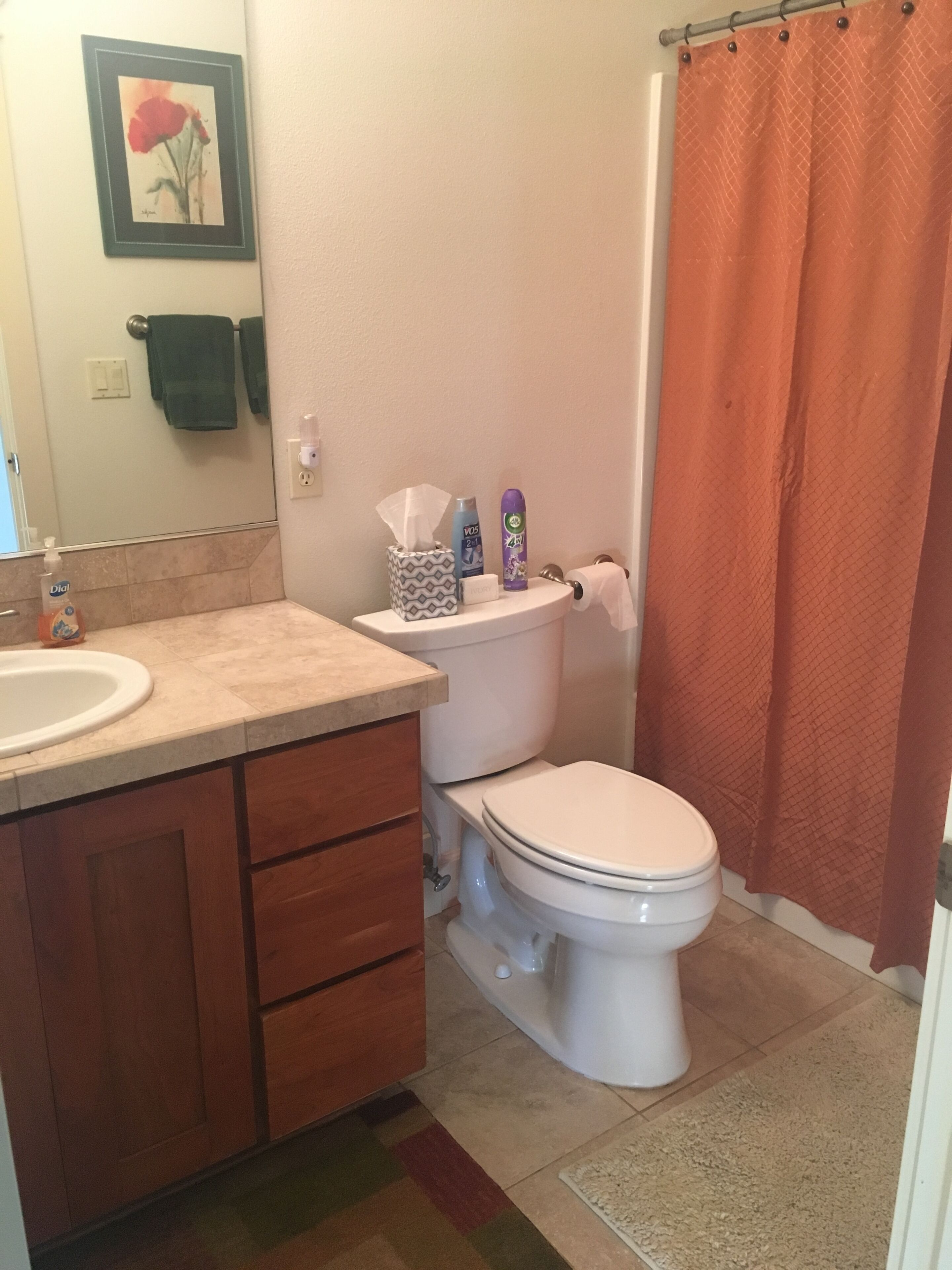 Une salle de bain équipée de toilettes, d’un lavabo et d’un rideau de douche.