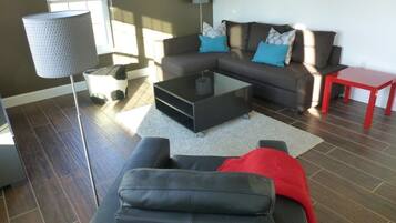 Smart TV, fireplace, DVD player, video library