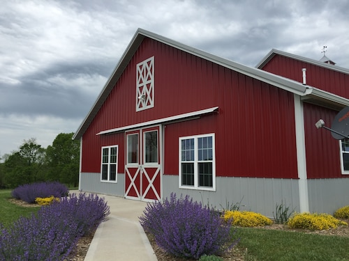 The Barn at Deva's Farm: Haute Blue Grass - Chill Retreat in the countryside
