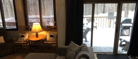 TV, fireplace, video games, DVD player