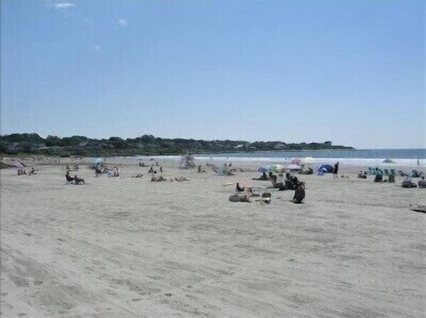 On the beach