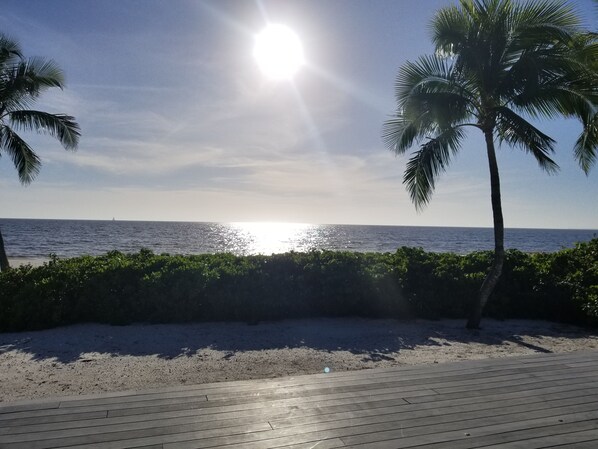 Sun loungers, beach towels