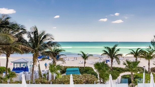 A beach view with lounge chairs, palm trees, and a clear sky.