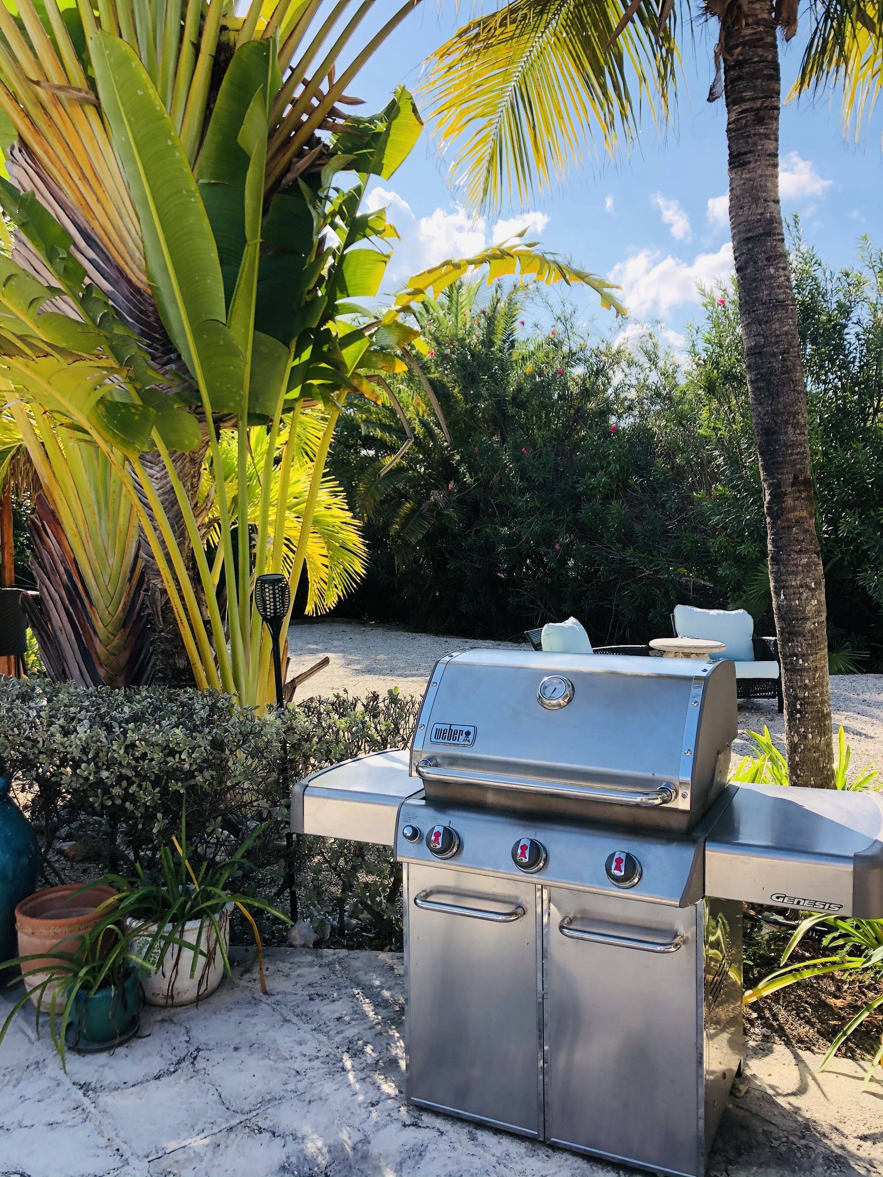 En Weber Genesis grill, transportabel, placeret i en have med et hvidt udendørs bord og stole, omgivet af forskellige planter og et palmetræ.