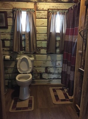 Shower, towels, toilet paper