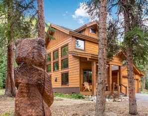 Exterior detail - Private Modern Mountain Cabin - 2 Acres in Blue River - Minutes to Breck Gondola (Blue River)