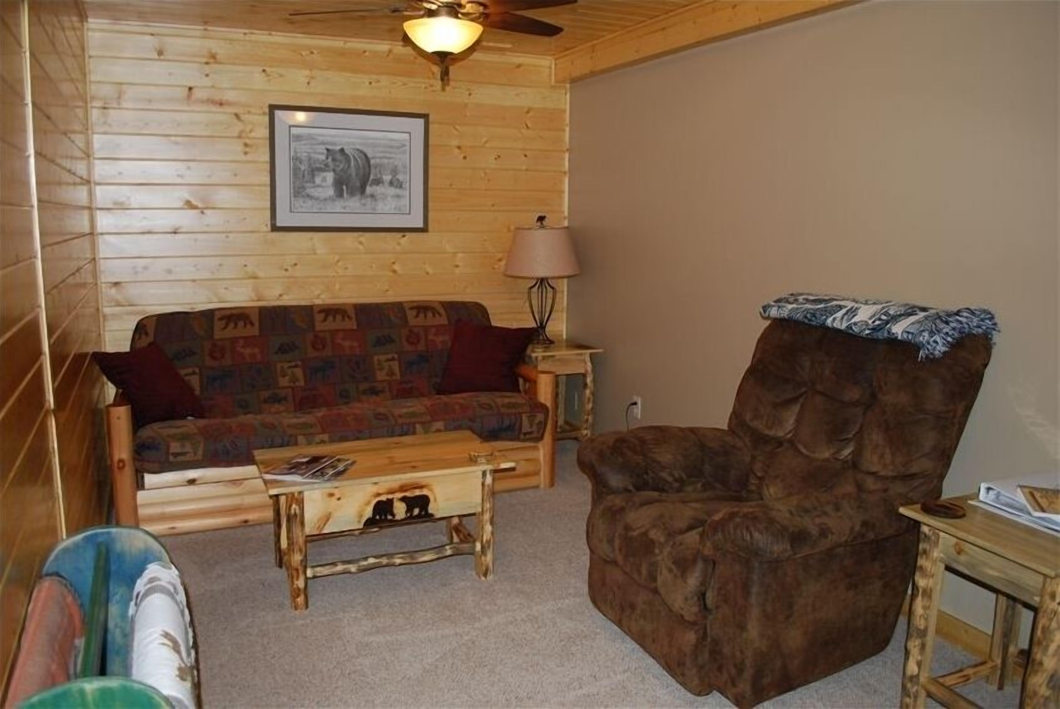 TV, DVD player, books