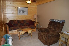 TV, DVD player, books