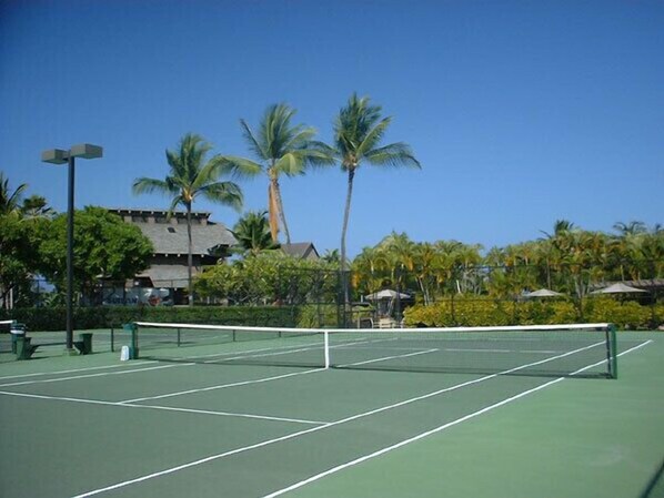 Sport court