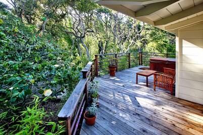 Five Acre Retreat,  Great Location!