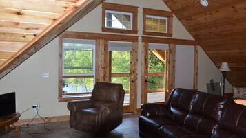 TV connectée, cheminée, lecteur de DVD, livres