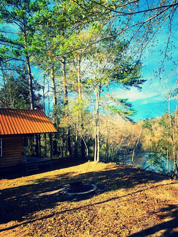 Property grounds - Cozy Creekside Cabin Retreat on the creek with 2 beautiful private sandbars! (Perkinston)