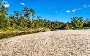 A beach with a river, trees, and clear blue sky.