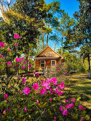 Cozy Creekside Cabin Retreat on the creek with 2 beautiful private sandbars!