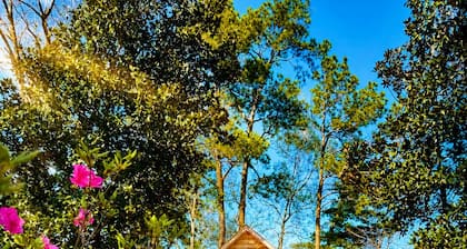 Cozy Creekside Cabin Retreat on the creek with 2 beautiful private sandbars!