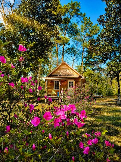 Cozy Creekside Cabin Retreat on the creek with 2 beautiful private sandbars!