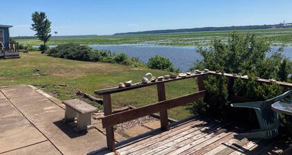 50' from the Mississippi River, see the winter eagle migration, fish from there