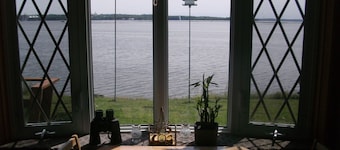 50 Ft Mississippi-joesta. Koe talvikotkan muutto.