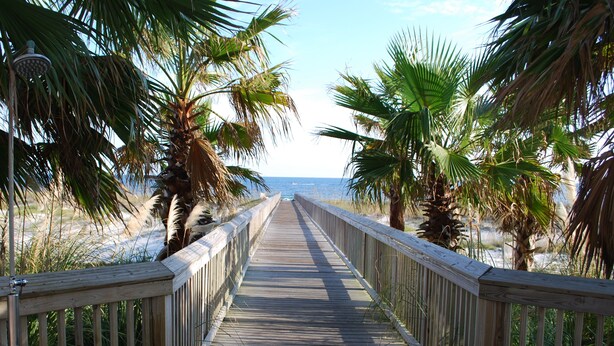 Ein hölzerner Steg führt zu einem Strand, gesäumt von Palmen.