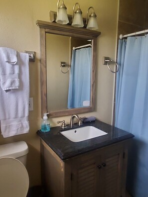 Combined shower/tub, hair dryer, towels, soap