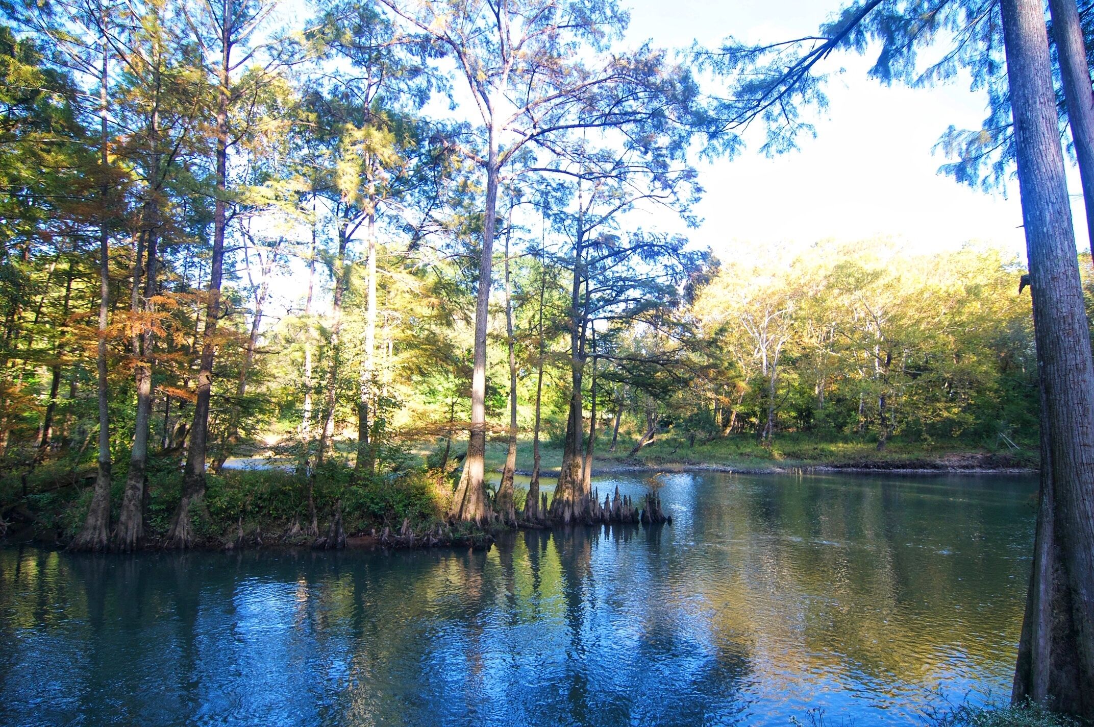 Waterfront On The Mt. Fork River, Fox Island Is Totally Secluded and