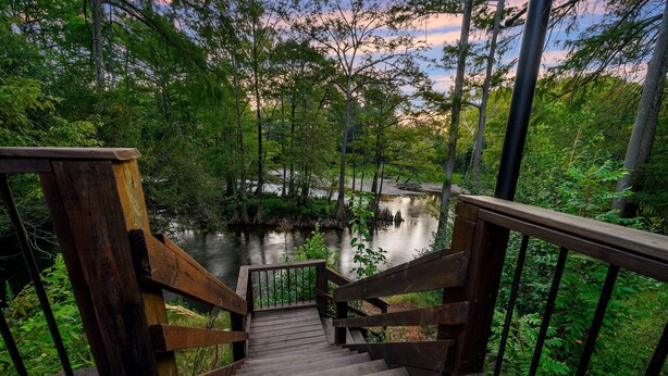 Un escalier en bois descend vers une rivière bordée d’une forêt dense.
