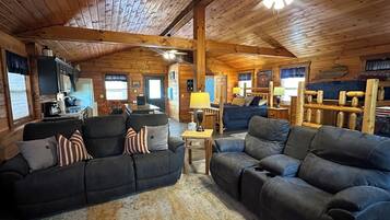 TV connectée, cheminée, lecteur de DVD, livres