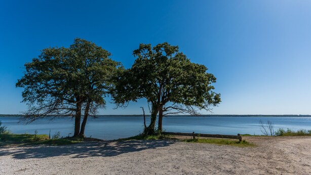 Un sendero de grava que conduce a un banco de madera junto a un lago con dos árboles.