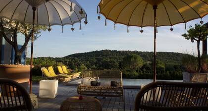 Stunning and spacious home in Provence!