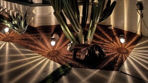 Um edifício moderno com amplas janelas, um jardim de cactos e palmeiras sob o céu noturno.