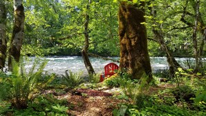 A red chair in a forested area with a river in the background. - McKenzie Riverfront Cabin big screened-in porch, 1/2mi to Mckenzie River Trail (McKenzie Bridge)