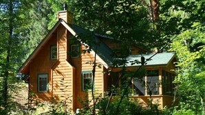 A rustic wooden cabin surrounded by dense forest. - McKenzie Riverfront Cabin big screened-in porch, 1/2mi to Mckenzie River Trail (McKenzie Bridge)