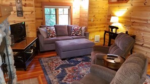 TV, fireplace, DVD player - McKenzie Riverfront Cabin big screened-in porch, 1/2mi to Mckenzie River Trail (McKenzie Bridge)