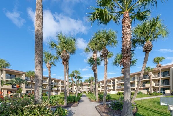 Terrain de l’hébergement 