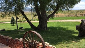 A rustic outdoor area with a large tree, a wooden wagon wheel, and a view of a distant landscape. - Remote ranch house on 93 acres in the peaceful Indianola Valley! Sleeps 30 (Fairview)