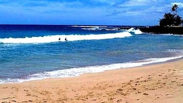Sun loungers, beach towels