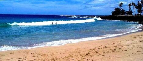 Sun loungers, beach towels
