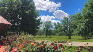 Un jardín con una variedad de rosas en plena floración, un cielo azul despejado y un campo de césped al fondo.