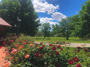 Property grounds - Stunning 100-acre Riverfront Ranch & Orchard, Close to Wineries, Amazing Views. (Palisade)
