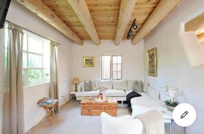 Smart TV, chimenea, reproductor de DVD y libros 