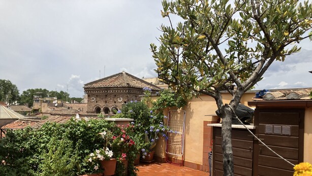 Un patio con plantas en macetas, un árbol y un edificio con techo de tejas al fondo.
