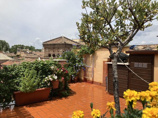 Un pati amb plantes en testos, un arbre i un edifici amb teulada a la part de darrere.