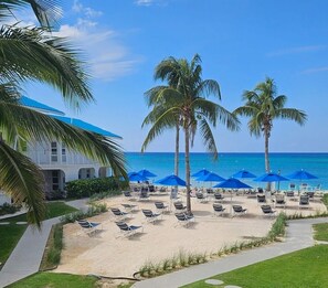 Un hôtel situé en bord de mer, doté d’une piscine, de palmiers et de chaises longues placées sous des parasols bleus.