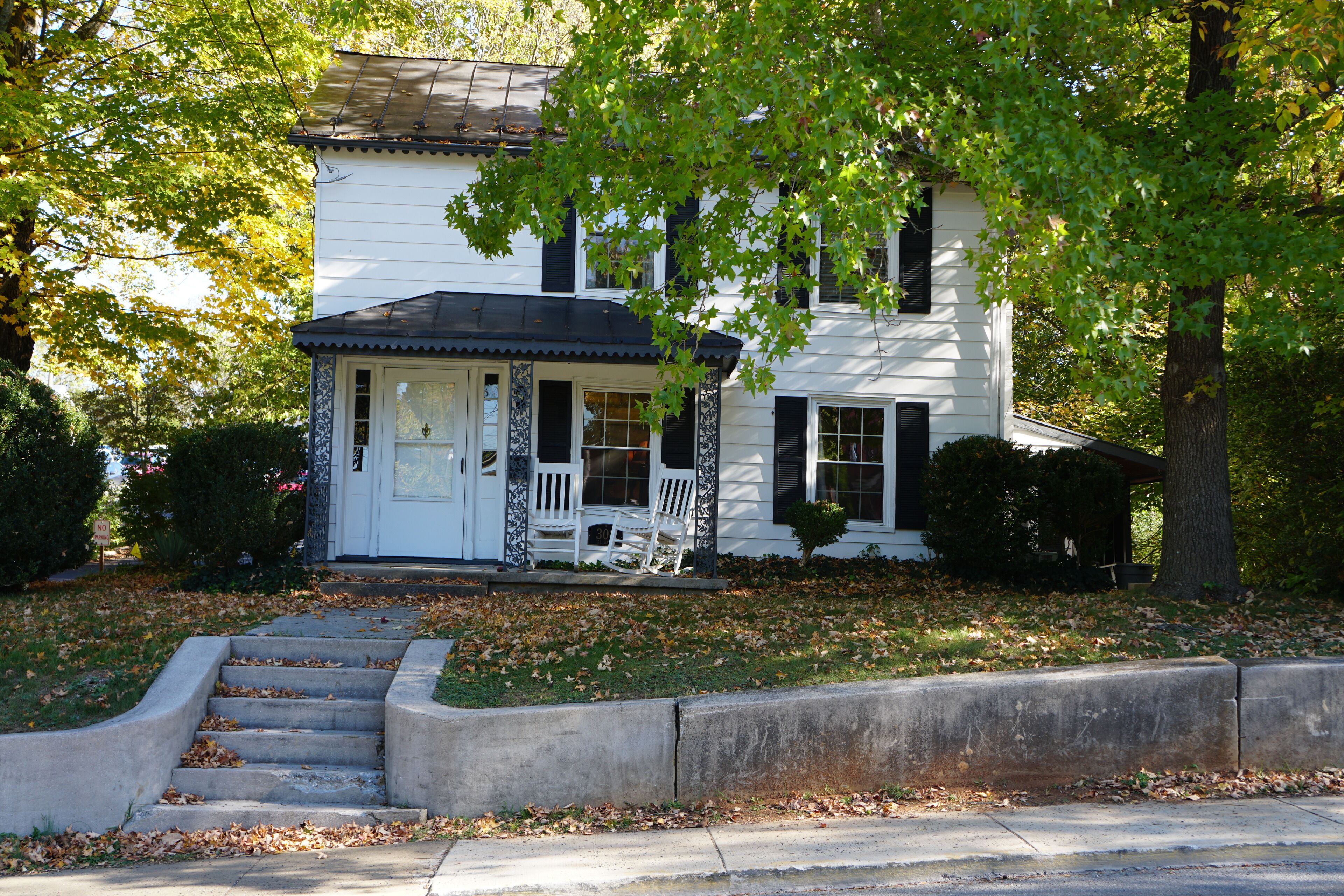 'Dr. Seuss': Charming Home in Downtown Historic Lexington