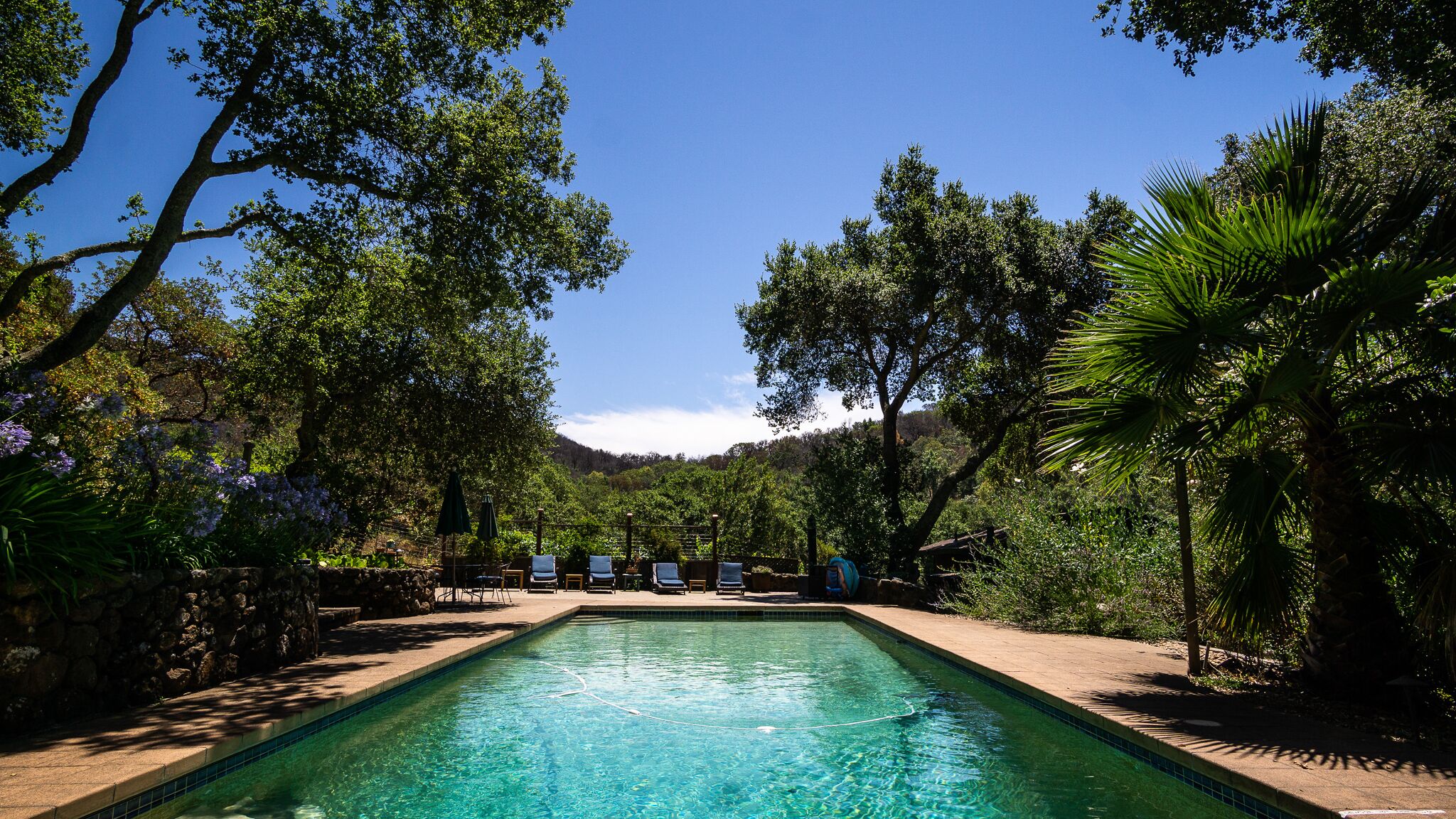 Beautiful Sonoma Estate Overlooking Vineyards with Pool