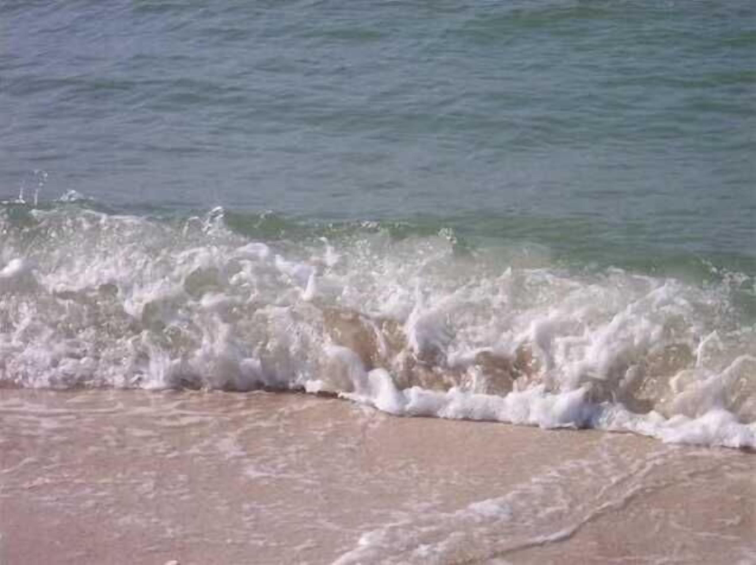 Plage, chaises longues, serviettes de plage